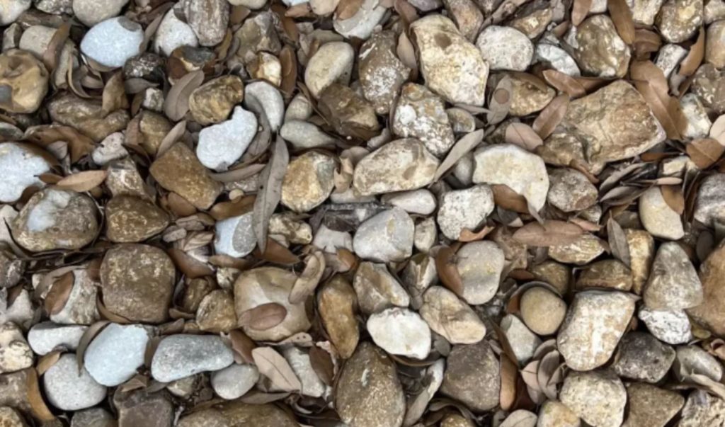 Optical illusion of rocks and a lost engagement ring. 